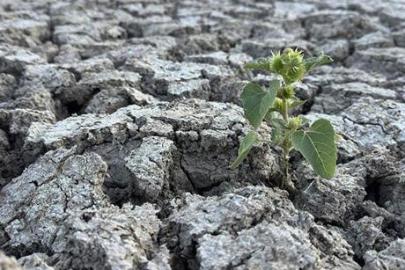 Isparta’nın Gizli Cenneti Kovada İçin ‘Acil Tedbir’ Çağrısı: Bir Doğa Harikası Yok Oluyor!